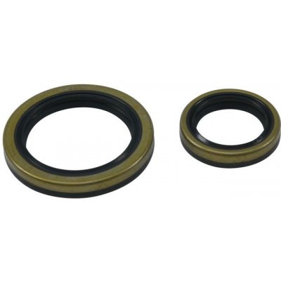 ALL BALLS těsnění klikové hřídele BETA EVO 4T 250 09-18, EVO 4T 300 09-21 | Zboží Auto