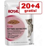 Royal Canin Hair & Skin Care v želé 24 x 85 g – Hledejceny.cz