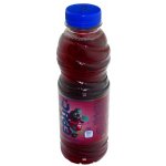 Fructal Fruc černý rybíz 0,5 l – Zboží Mobilmania