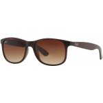 Ray-Ban RB4202 6073 13 – Hledejceny.cz