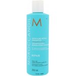 Moroccanoil Moisture Repair Shampoo 250 ml – Hledejceny.cz