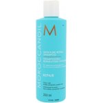 Moroccanoil Moisture Repair Shampoo 250 ml – Zbozi.Blesk.cz