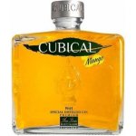 Cubical Mango Special Distilled Gin Premium 37,5% 0,7 l (holá láhev) – Zboží Dáma