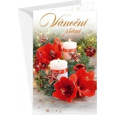 Argus Vánoční přání s kapsou na peníze - 11-6526c – Sleviste.cz