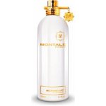 Montale Mukhallat parfémovaná voda unisex 100 ml – Hledejceny.cz