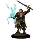 Pathfinder Battles: Premium Painted Figure Human Cleric Male – Zboží Živě