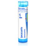 IPECACUANHA POR 9CH GRA 1X4G – Hledejceny.cz