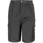 Result Work-Guard R 309X black