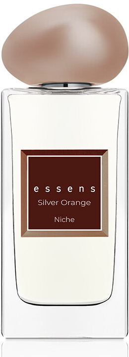 Essens Europe Essens Niche Silver Orange parfém unisex 50 ml