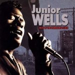 Wells Junior - Best Of Vanguard Years CD – Hledejceny.cz