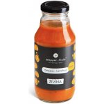 Živina Dýňák omáčka z pečené dýně a rajčat s kampotským pepřem 350 g – Zboží Dáma