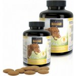 Belcando Vital Tabs 100 tbl – Hledejceny.cz
