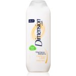 Unilever Dimension by LUX 2v1 šampón a balzám na rovné vlasy 250 ml – Hledejceny.cz