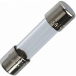 Pojistka trubičková skleněná F 2,0A 250V 5x20mm – Sleviste.cz