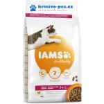 Iams for Vitality Cat Senior Chicken 2 kg – Hledejceny.cz