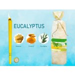 HOXI Ušní svíčky Eucalyptus – Zbozi.Blesk.cz