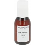 Sachajuan Normal Hair Shampoo 100 ml – Zbozi.Blesk.cz