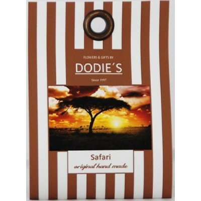 Dodies´s vonný vosk do aromalampy ve tvaru srdíčka Safari 1 ks – Hledejceny.cz