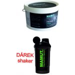 Mamut Pre-Run Drink 800 g – Hledejceny.cz
