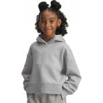 Under Armour Rival Fleece Crop Hoodie K šedá – Hledejceny.cz