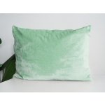 Xpose Mikroplyš mintový 70 x 90 cm – Zbozi.Blesk.cz