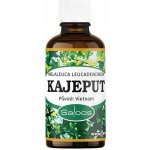 Saloos esenciální olej Kajeput 50 ml – Hledejceny.cz