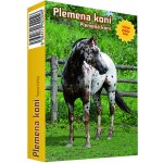 Piatnik Kvarteto: Koně – Hledejceny.cz