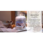 Yankee Candle Autumn Pearl 411 g – Zbozi.Blesk.cz