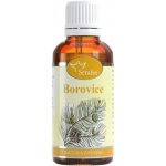 Serafin Borůvka tinktura z pupenů rostlin 50 ml – Hledejceny.cz