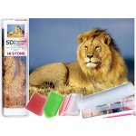 Norimpex Diamantový obrázek malování Lví majestát 30 x 40 cm – Hledejceny.cz