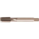 Strojní závitník HSS-Co5 NPT 1/4" FORMAT – Hledejceny.cz