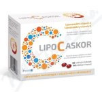 Lipo C Askor Forte 60 kapslí – Zboží Dáma