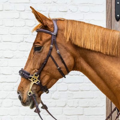 Dy'on Hackamore Bridle DYFADX hnědá – Zboží Mobilmania