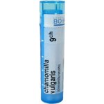 CHAMOMILLA VULGARIS POR 9CH GRA 1X4G – Hledejceny.cz