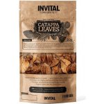 Invital CatappaLeaves 20 g – Zboží Dáma Invital CatappaLeaves 20 g – Zboží Dáma