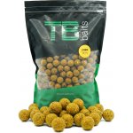 TB Baits Boilie Corn 2,5 kg - 20 mm – Zboží Dáma