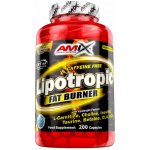 Amix Lipotropic Fat Burner 200 kapslí – Hledejceny.cz