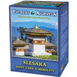 Everest Ayurveda SLESAKA Klouby a revmatizmus 100 g – Hledejceny.cz