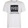 Pánské Tričko Calvin Klein tričko NM1708 bílá