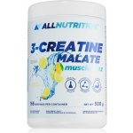 AllNutrition 3 Creatine Malate 500 g – Hledejceny.cz