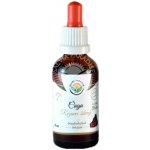 Salvia Paradise Chaga AF tinktura 50 ml – Hledejceny.cz