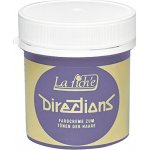 La Riché Directions Wisteria polopermanentní barva na vlasy 88 ml – Sleviste.cz
