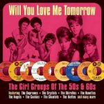 Various - Will You Love Me Tomorrow The Girl Groups Of The 50s 60s CD – Hledejceny.cz