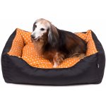 Iridog 2v1 Zippy Pelech – Hledejceny.cz