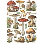 Stamperia Rýžový papír Houby – Zboží Dáma