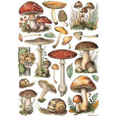 Stamperia Rýžový papír Houby – Zboží Dáma