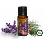 Natasha Směs esenciálních olejů BIO Sladké sny 10 ml – Hledejceny.cz