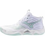 Mizuno Wave Momentum Pro W White/Blue Tint – Hledejceny.cz