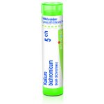 KALIUM BICHROMICUM POR 5CH GRA 4G – Hledejceny.cz