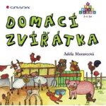 Domácí zvířátka – Hledejceny.cz